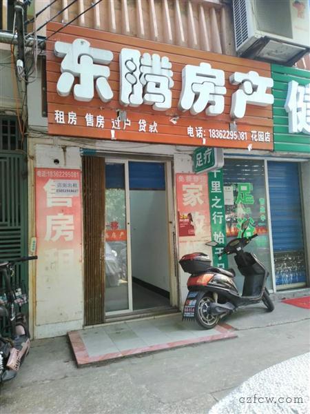 花园新村毛坯1/0/0朝南好房800元/月